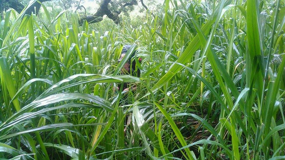 14885955_10154706242644669_2042582291_n